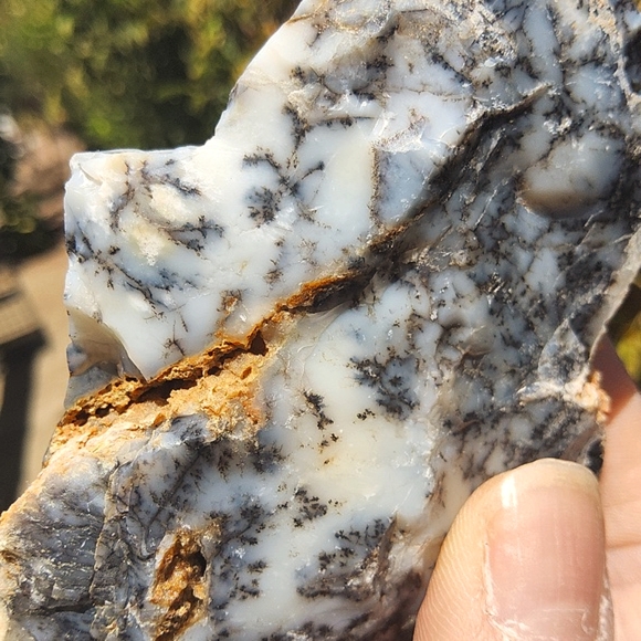 Semi Polished Beautiful Dendritic Opal Slab - Picture 7 of 17